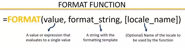 The parameters of the DAX format function