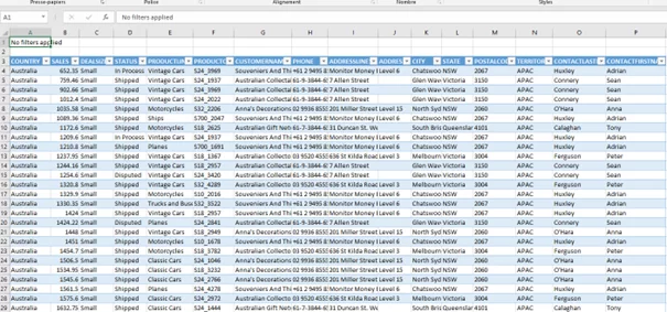 Excel table showing all the fields of the underlying data.