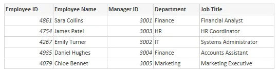 Table of the managers for our visual